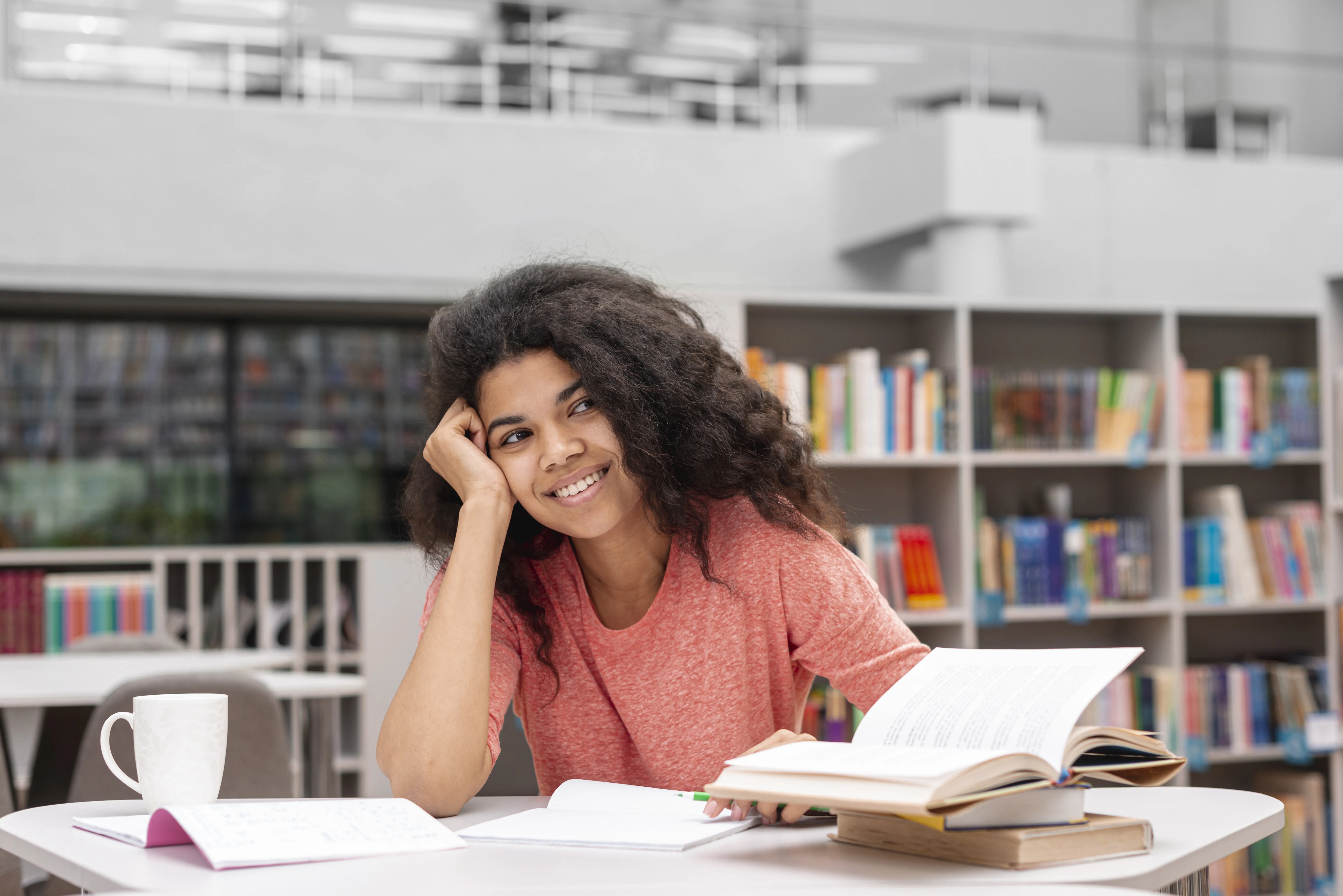Mauritius study destination view